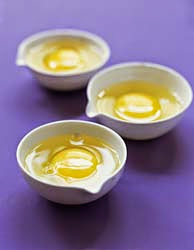 Sidi-bel-abbes :  100 000 œufs à couver infectés par la «salmonella typhimurium»;  une enquête pour identifier les fournisseurs du couvoir