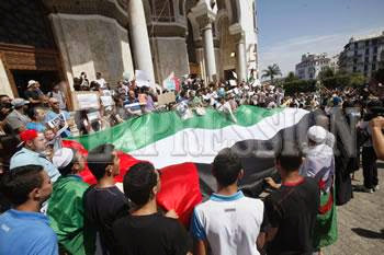 Situation à ghardaïa et massacre à ghaza : Les partis en hibernation