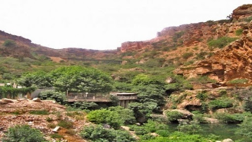 Tlemcen bénéficie de 30 nouveaux projets au profit du secteur de l&rsquo;environnement