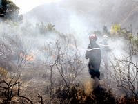 89 hectares de couvert végétal ravagés par les flammes : 39 départs de feu enregistrés à Tizi Ouzou