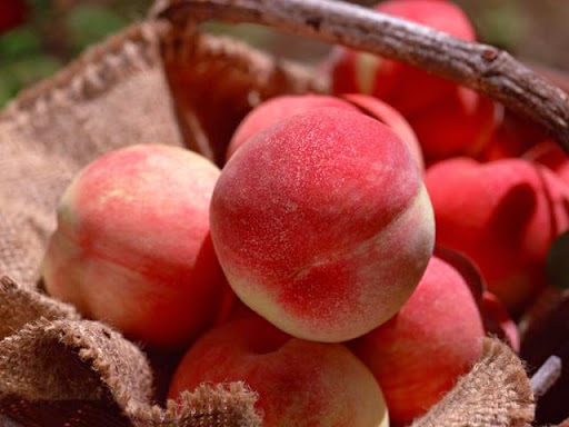 Bon à savoir : Les fruits