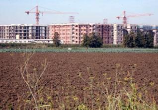 Concessions agricoles, Litiges, contentieux et des retards