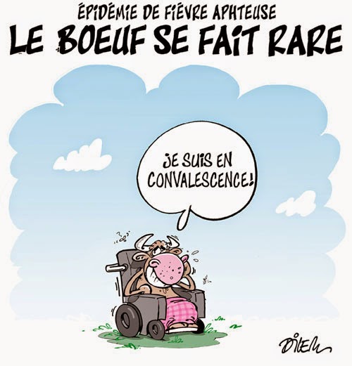 Épidémie de fièvre aphteuse : Le bœuf se fait rare