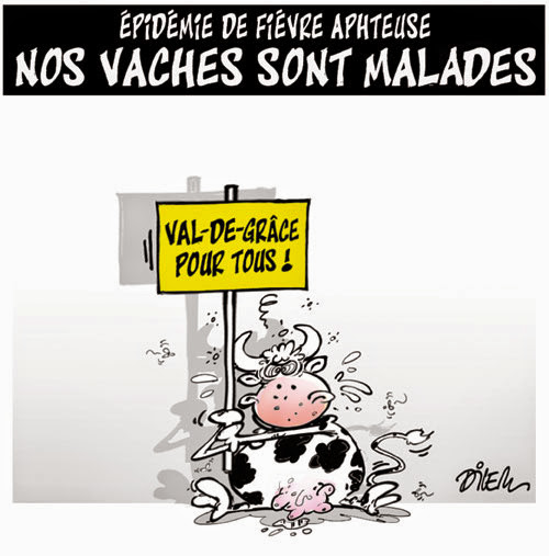 Épidémie de fièvre aphteuse : Nos vaches sont malades