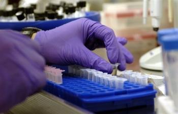 Epidémie Ebola: l&rsquo;OMS espère qu&rsquo;un vaccin préventif sera disponible en 2015