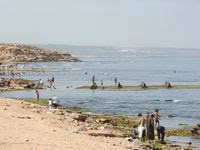 Fausse alerte à une marée noire à Mostaganem : La ministre de l’Environnement victime d’un canular !
