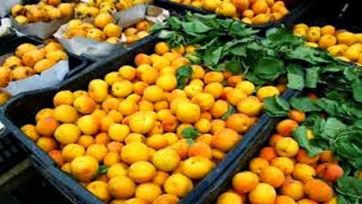 Fraude européenne pour contourner le blocus russe, Des produits de l’UE sous label algérien