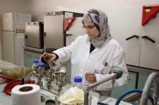 L&rsquo;Algérie et la Malaisie conviennent d&rsquo;échanger leurs expériences en matière de pédagogie et de recherche scientifique