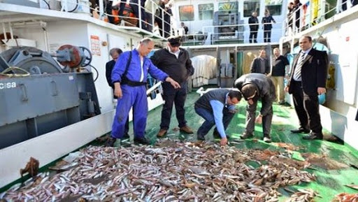 Le programme Aquapêche 2020, objet de concertation à Jijel