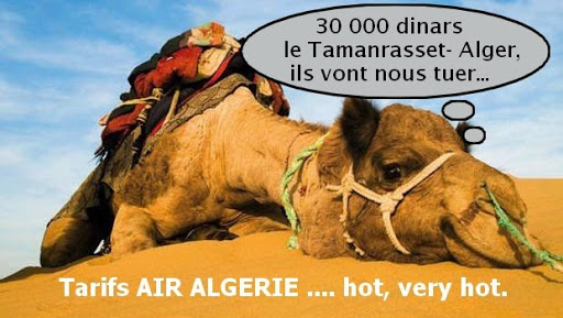 Le vol Alger-Tamanrasset à 30 000 dinars, qui voyage avec Air Algérie ?