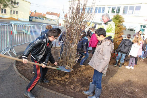 Les arbres dans les écoles apaisent les enfants