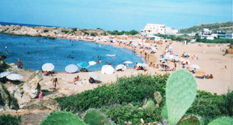 Les destinations locales prisées des algériens : Oran, tipasa, béjaïa en pôle position