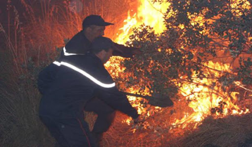 Les massifs de l’Ouest les plus touchés par les incendies, Près de 23.000 ha détruits