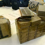 Lutte contre la drogue en Algérie, 614 tonnes de cannabis saisies en dix ans