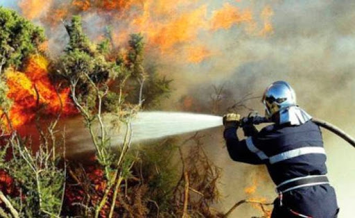 Plus de 7.000 hectares ravagés par les flammes depuis le 1er juin (Protection civile)