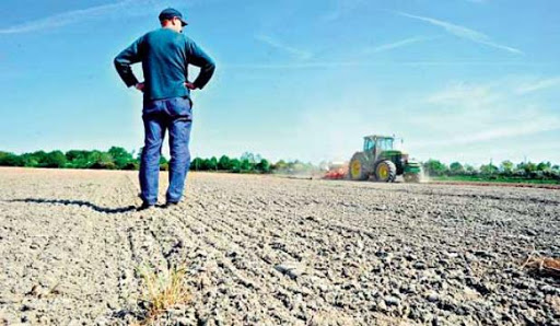 Remise de plus de 5.200 actes de concession agricole à Relizane