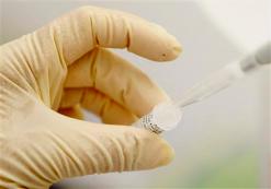 Tout sur le virus ebola : trois questions pour éviter la mort !