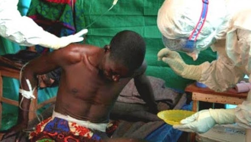 Virus Ebola: au moins 887 morts en Afrique de l’ouest (OMS)