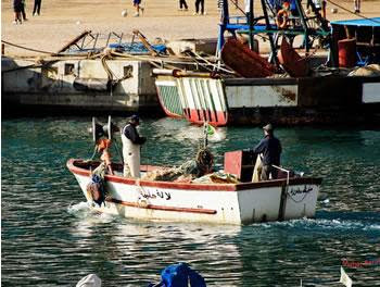 56.000 professionnels du secteur de la pêche menacés de chômage : Le poisson sur le gril
