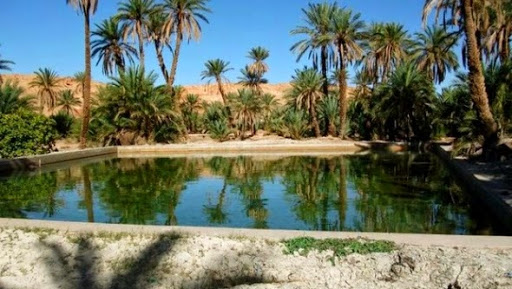 70 millions DA pour les études de réalisation d’un barrage à Bechar