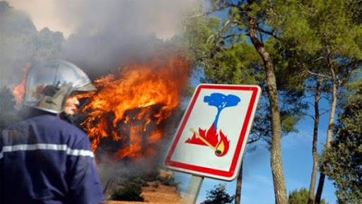 Ain Temouchent : 15 hectares de forêt partis en fumée à El Hassasna