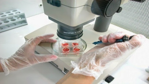 Assistance médicale à la procréation: recours exclusif aux spermatozoïdes et à l’ovule du couple infertile