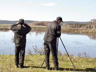 Atteinte à l’Environnement, La Gendarmerie tire la sonnette D’alarme