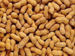 Chlef, Plus de 1100 kg de cacahuètes saisis