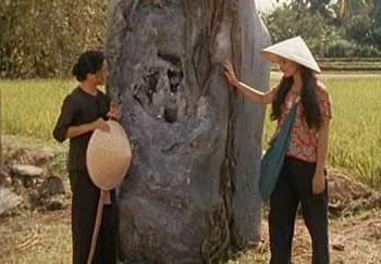 Clôture des 12es rencontres cinématographiques de béjaïa : Une longue nuit d’étoiles…