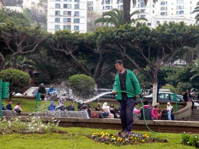 Clôture du séminaire sur l’environnement « La responsabilité de tous est engagée »