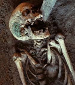 Découverte d’un squelette humain à Oued-Sly (Chlef)