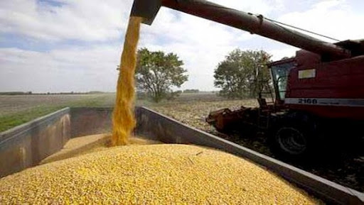 Distribution de plus de 283.000 quintaux d&rsquo;orge depuis janvier dernier (Nouri)