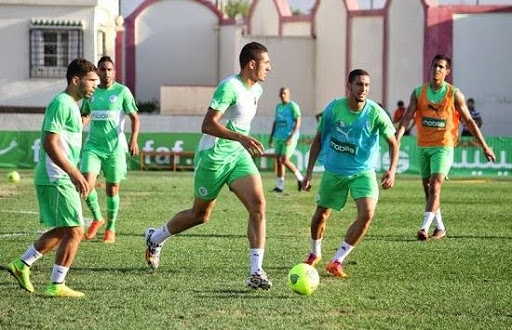 EN : Les Verts «choqués» par l’Etat de la pelouse