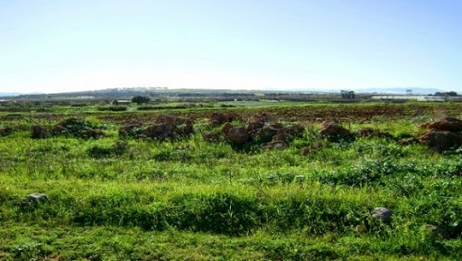 Encouragement de l&rsquo;apprentissage en agriculture et dans des métiers industriels à Relizane