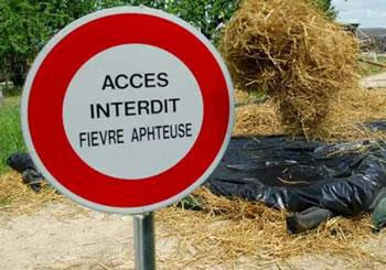 Fièvre aphteuse : Le monde rural boude les assurances