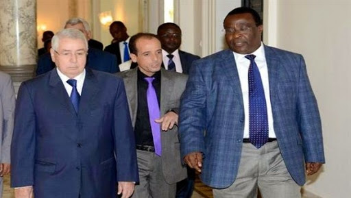 La coopération économique et la coordination parlementaire au centre de la visite du président du sénat kényan en Algérie