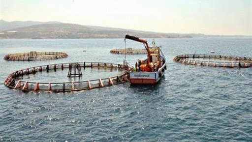 La nouvelle loi sur la pêche constituera une assise pour un développement durable du secteur