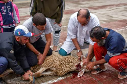 L’Aïd el-Kébir 2014 fixé le 4 octobre, annonce l&rsquo;Arabie Saoudite