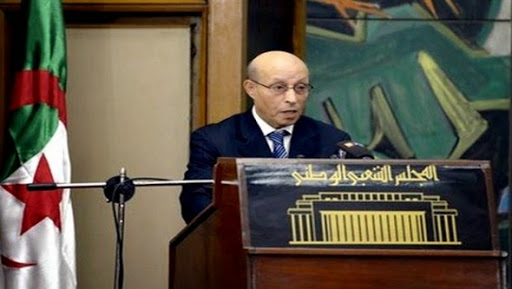 L’Algérie « poursuit ses efforts pour le rétablissement de la stabilité dans les pays voisins »