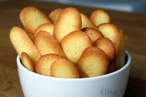 Langues de chat