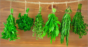 Les fines herbes , un trésor de tonus