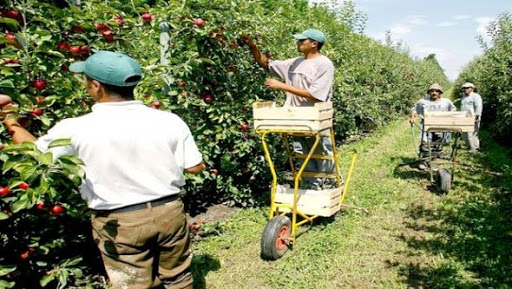 Nouri exhorte les agriculteurs à se préparer pour l’exportation de leurs produits