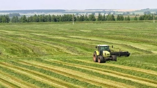 Près de mille fellahs ont bénéficié d’une formation dans divers métiers agricoles à M’sila