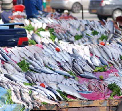 Réalisation prochaine d’un marché de gros de poissons au pôle agro-alimentaire d’El Kerma (Oran)