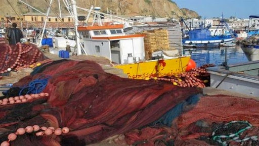 Repos biologique : 18 infractions enregistrées à Ain Temouchent