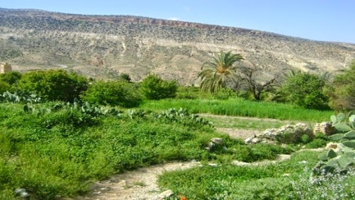 T’Kout (Batna): la célébration traditionnelle de l’avènement de l’automne toujours présente