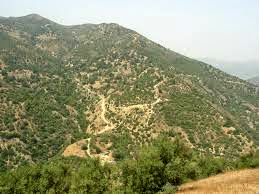 Un émir abattu à Tizi Ouzou