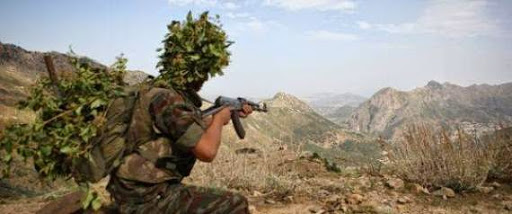 Algérie: Plus de 20 terroristes neutralisés depuis plus d&rsquo;un mois par l&rsquo;ANP