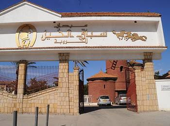 Après le rassemblement des policiers devant le palais du gouvernement : Les employés de la société des courses occupent les lieux