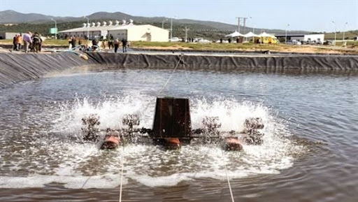 Aquaculture: identification de 29 zones d’investissement à travers les wilayas côtières